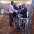 Bicicletas Entregues aos Pastores de Uganda